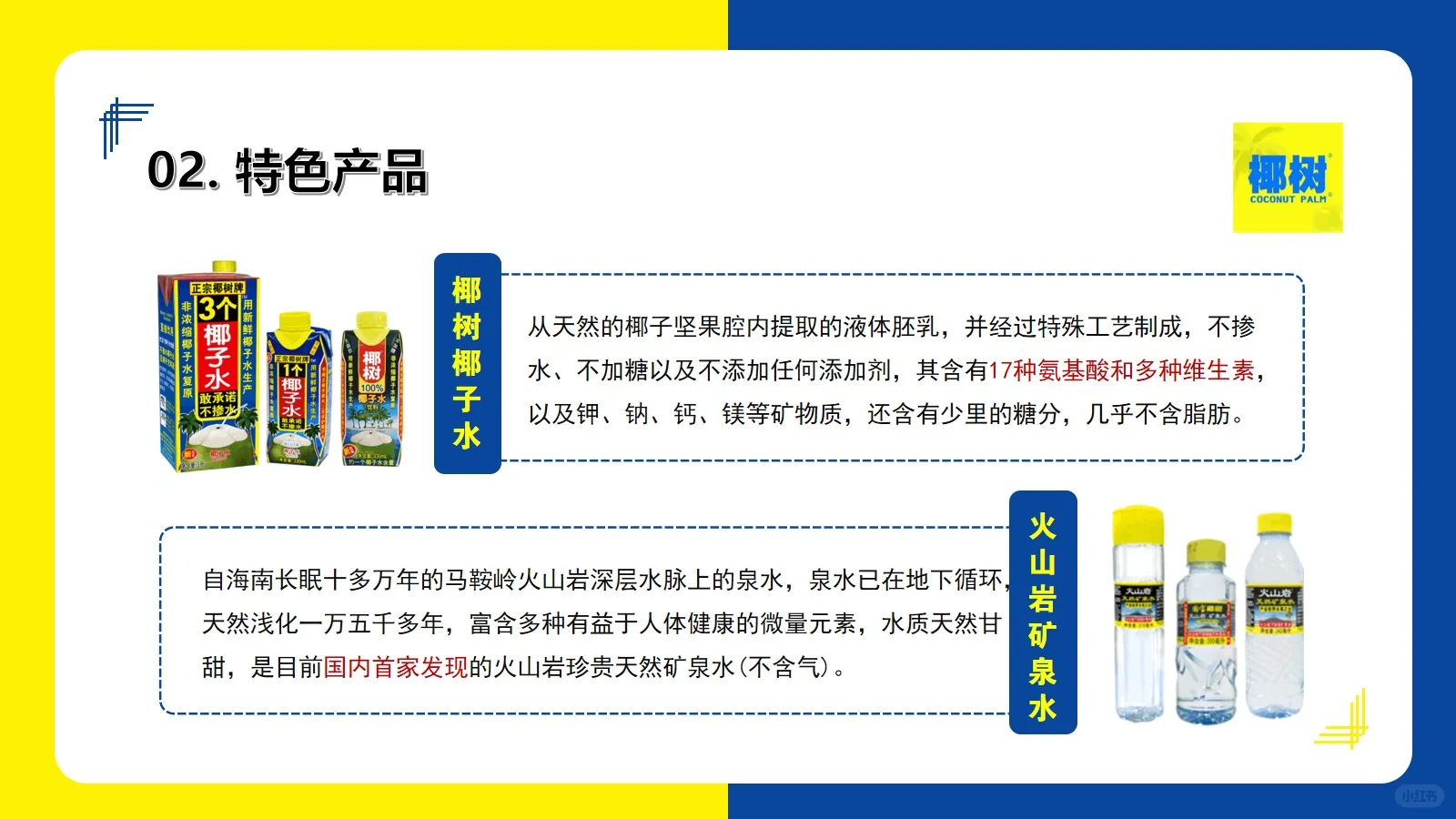 椰树集团营销分析20页