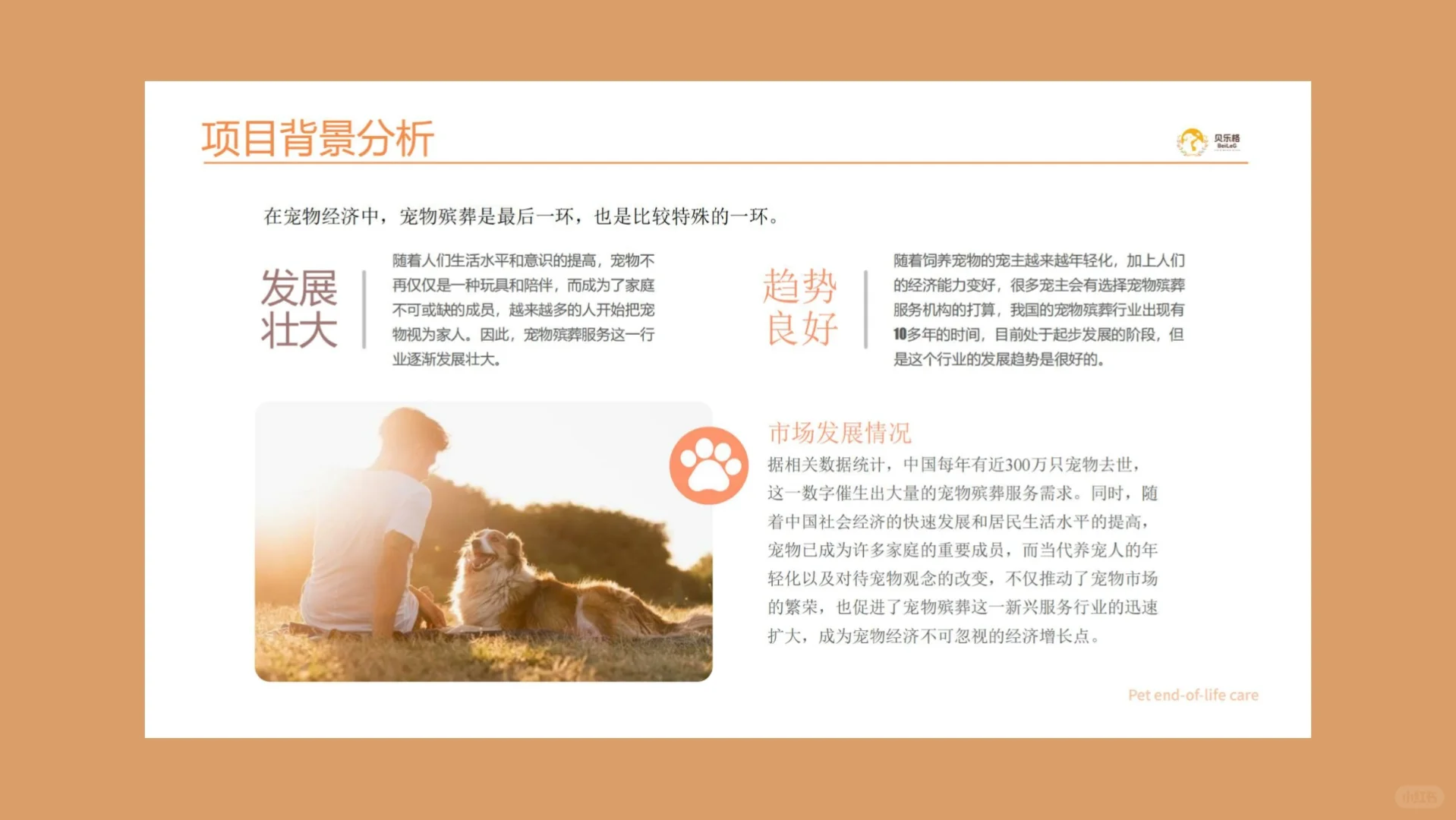 一个宠物行业创业项目计划书～