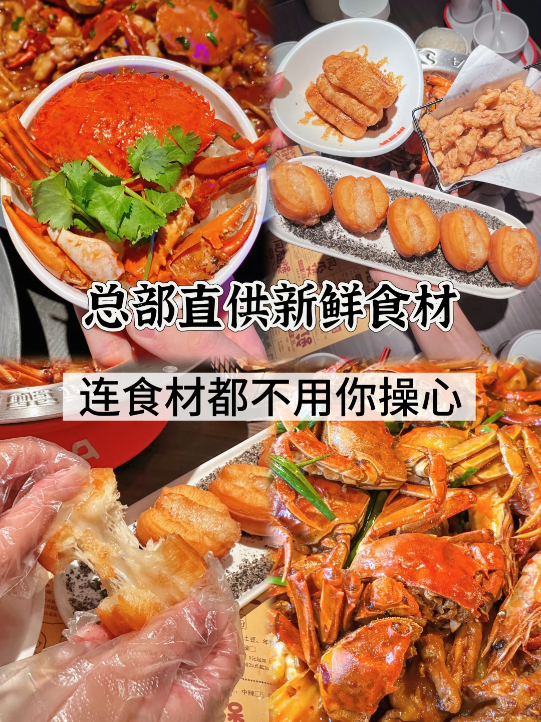 ‼适合小白的热门餐饮‼