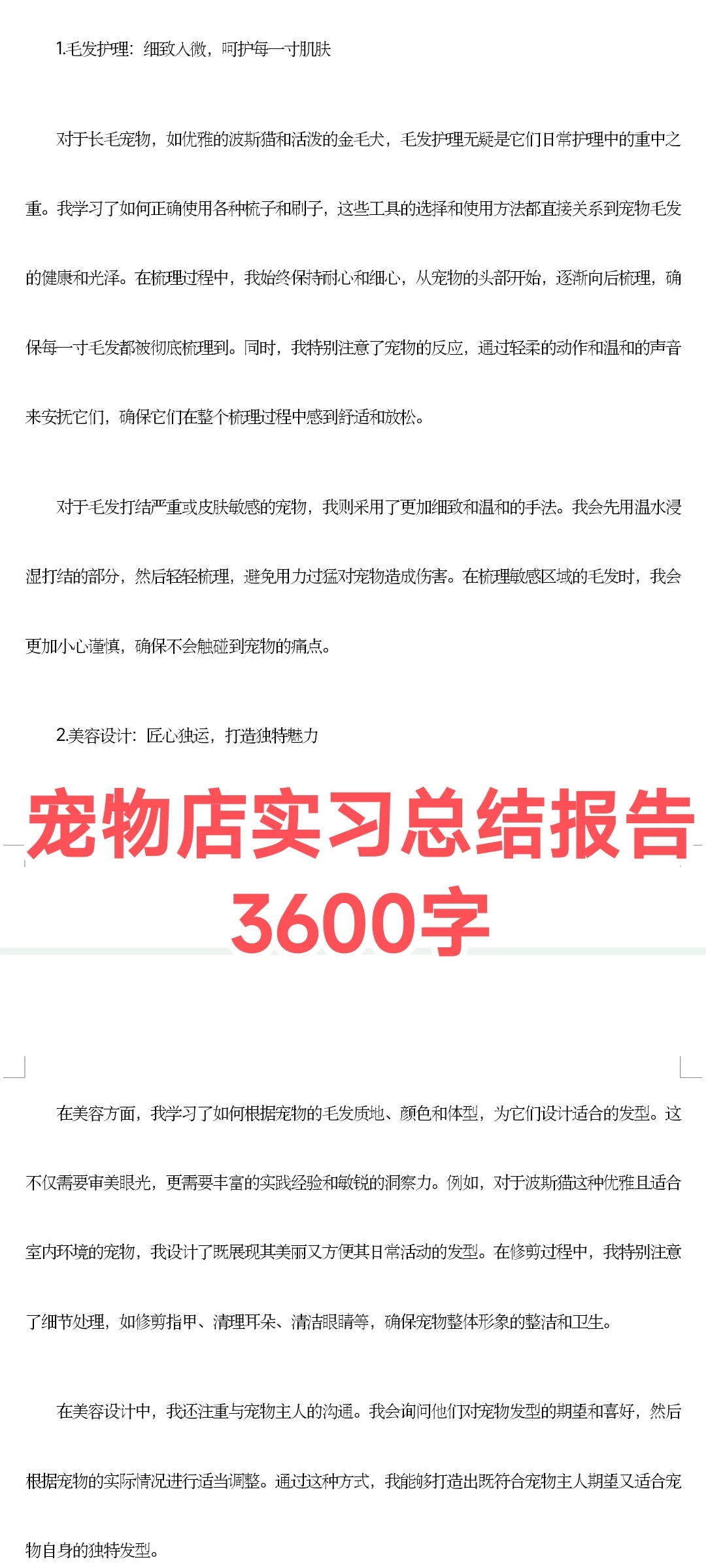 宠物店实习总结报告3600字