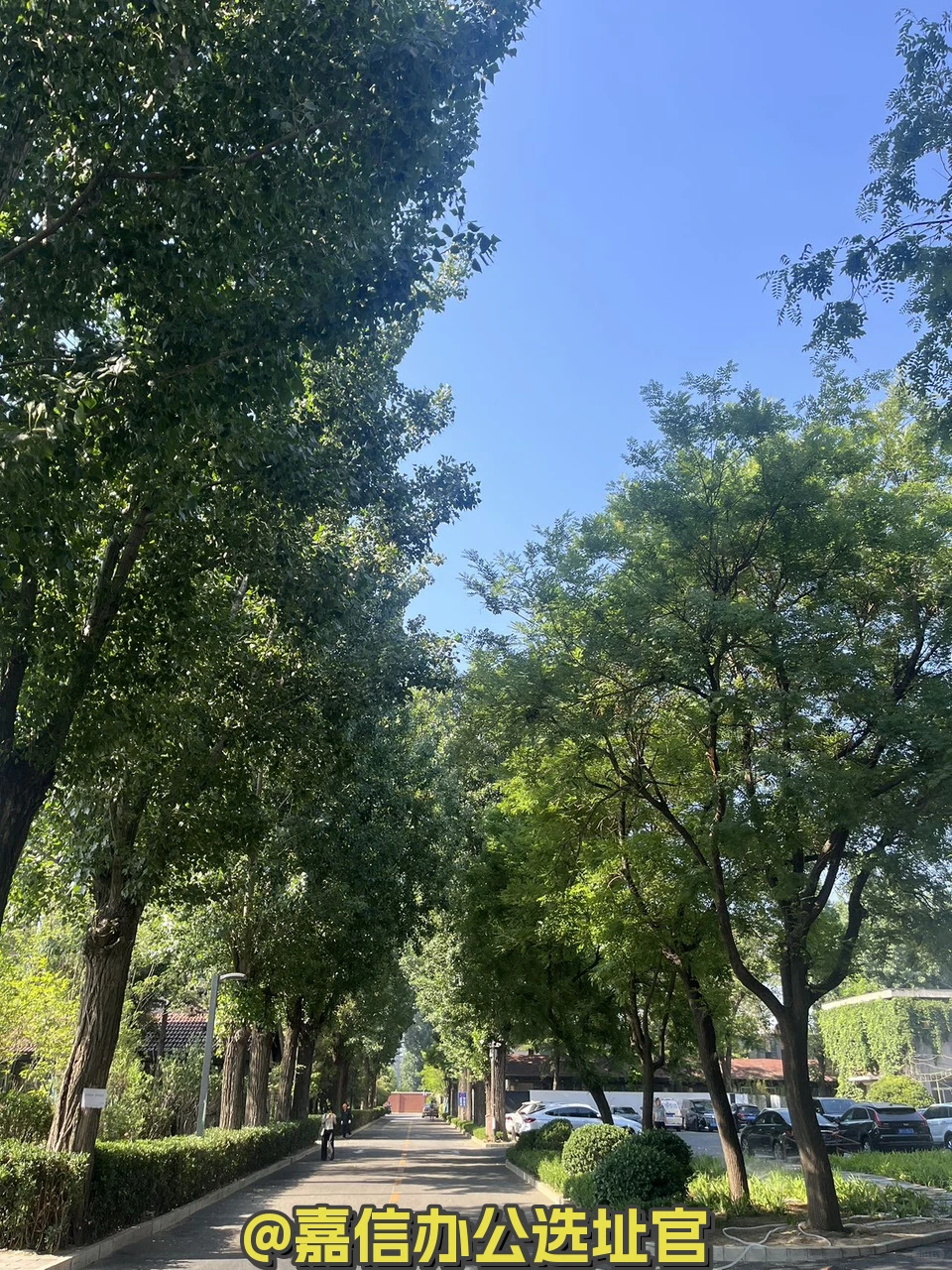 百子湾广园产业园 独栋院落 高挑空