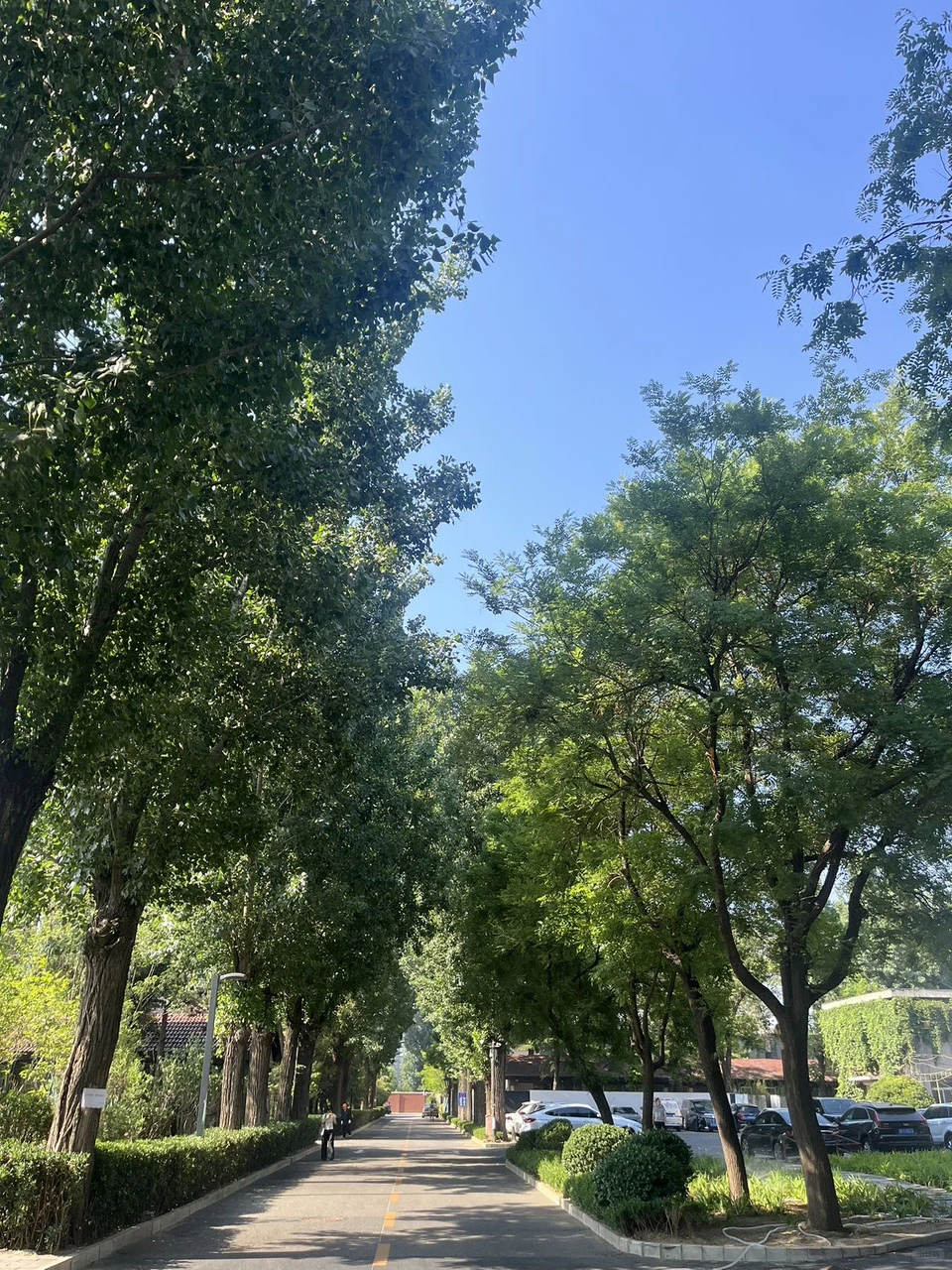 广园产业园 独栋双门头 高挑空