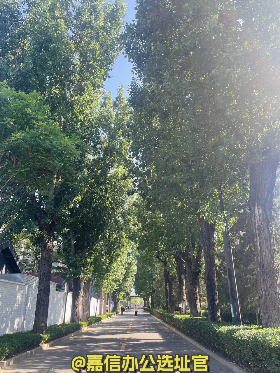 百子湾广园产业园 独栋院落 高挑空