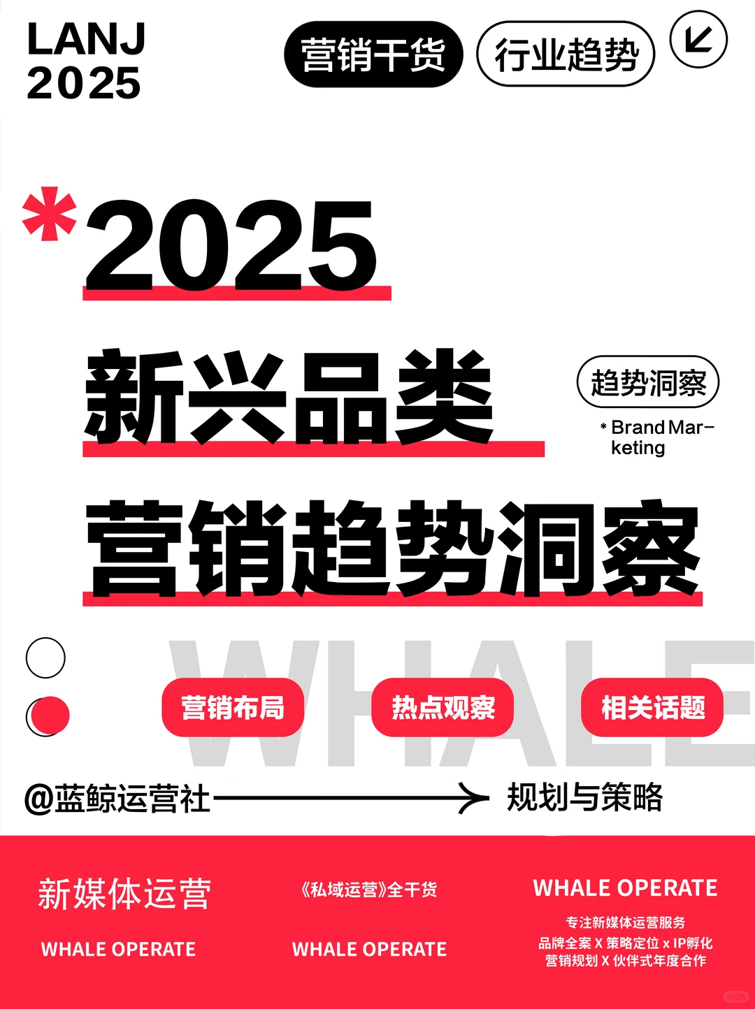 营销热点｜2025四大新兴品类营销速览