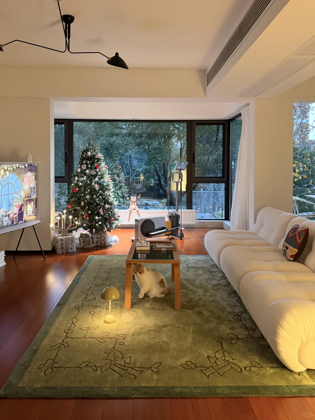 住进干净通透的家后,早晚运动都很积极