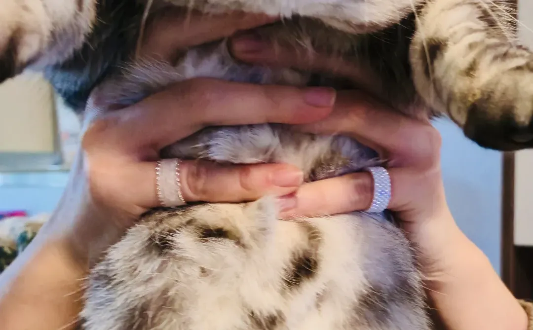 第180天，一张照片展示三样东西