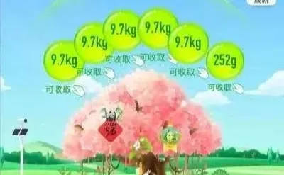 蚂蚁森林能量天花板！隐藏玩法 + 防偷绝招