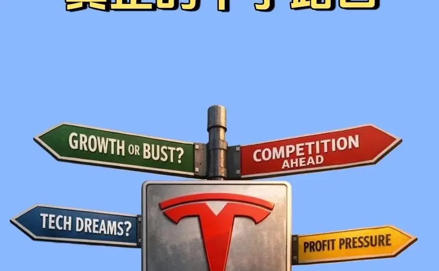 特斯拉，正在站在一个真正的十字路口