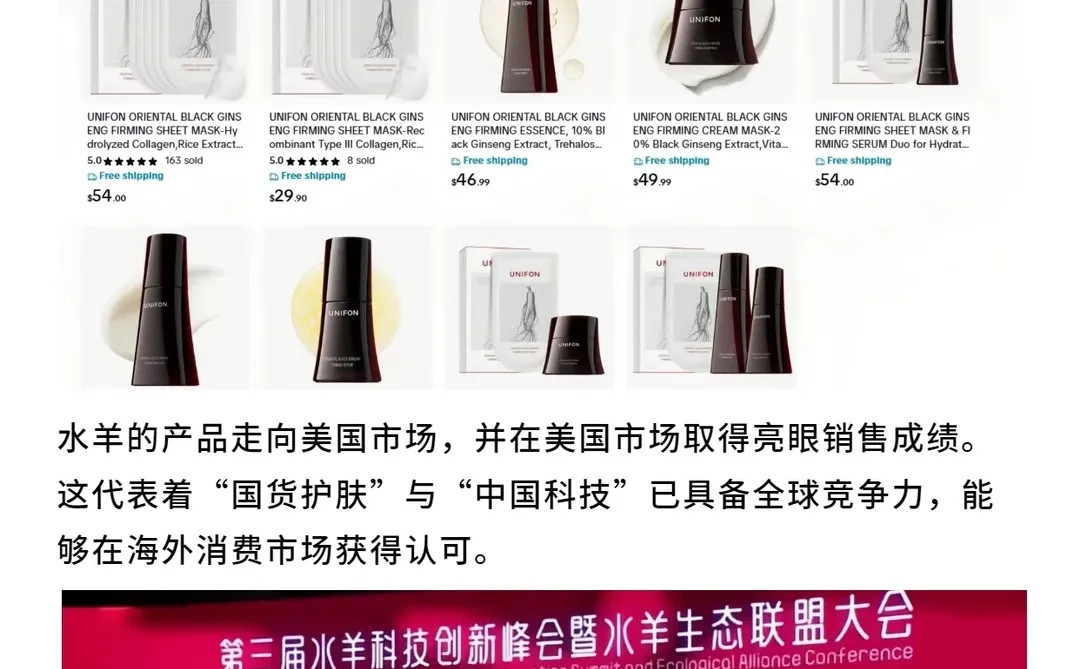 每天认识一家公司：水羊（S'YOUNG）