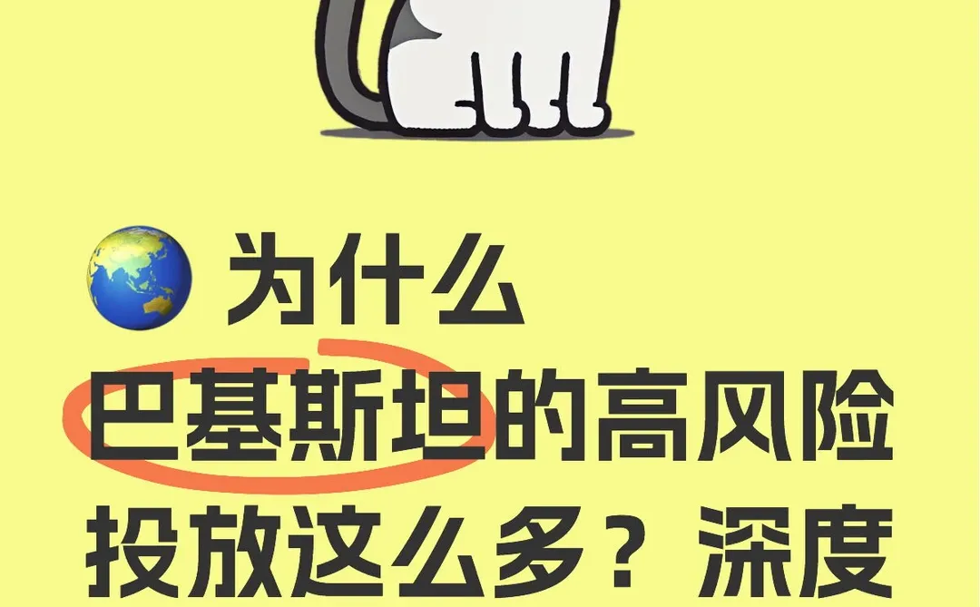 为什么巴基斯坦的高风险投放这么多？