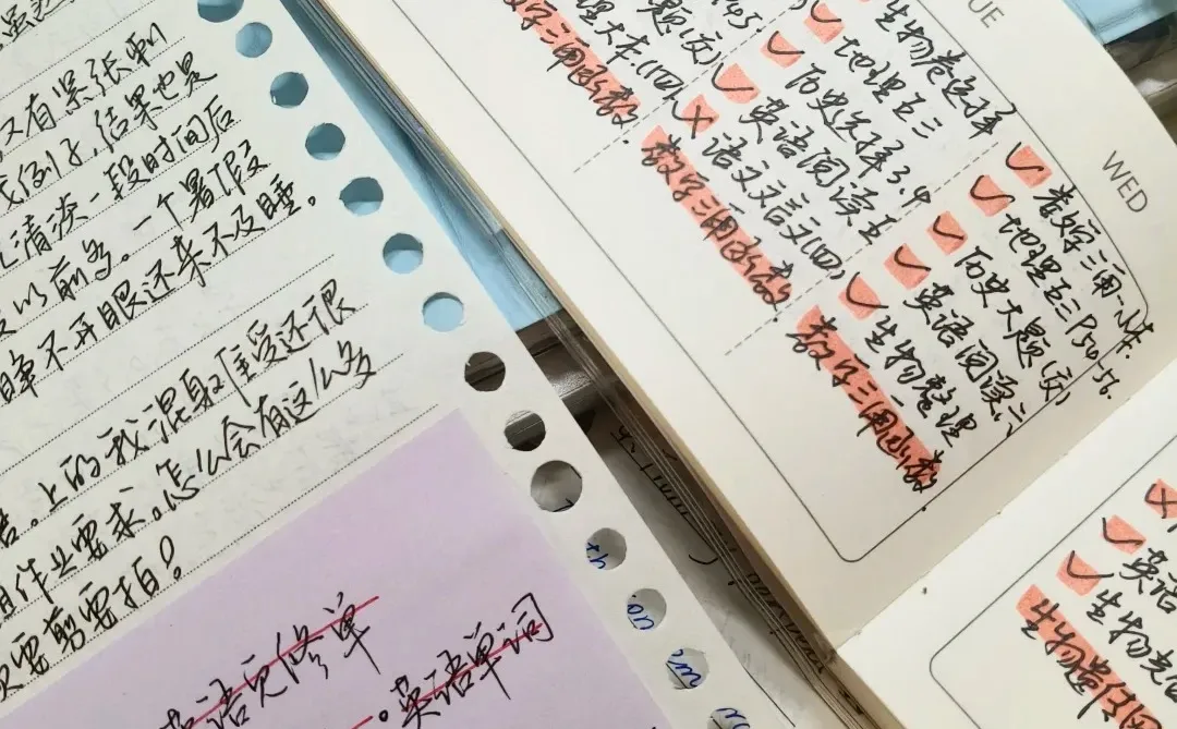 40→89|浙江生物首考我靠这招快速提分