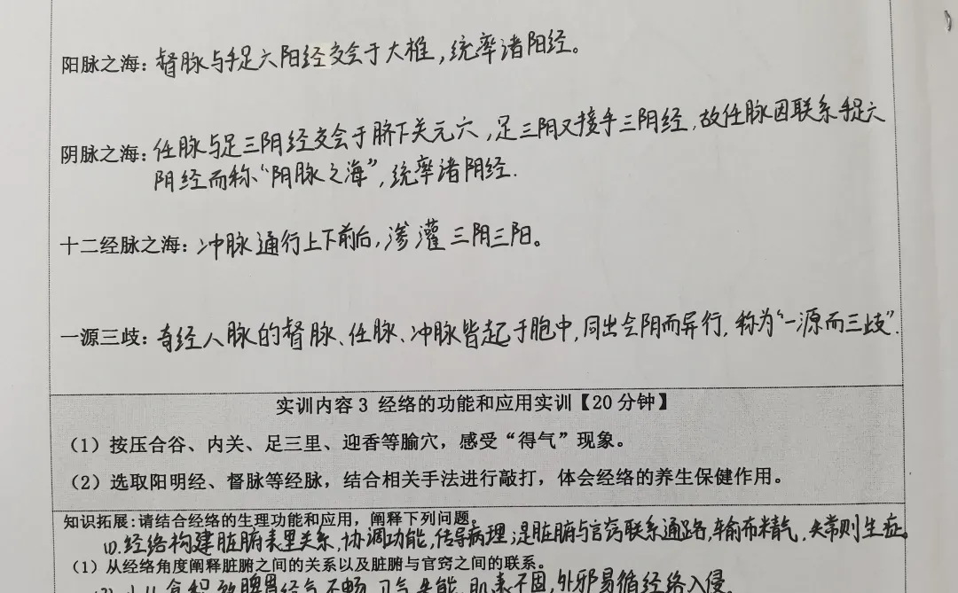 中医经络体质报告册