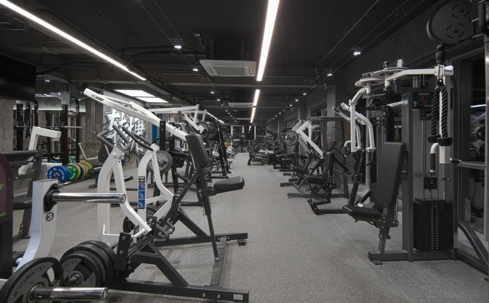 杭州健美运动员｜无偿给女生提供健身建议啦