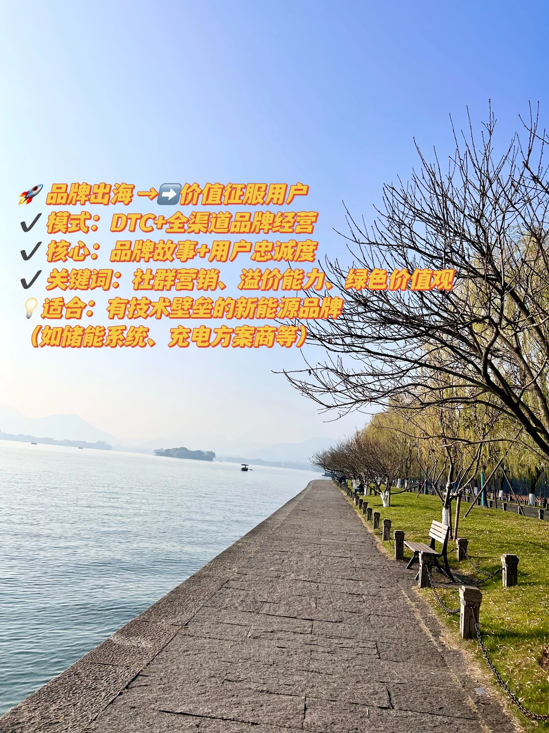 2026年新能源出海 选对赛道少走10年弯路