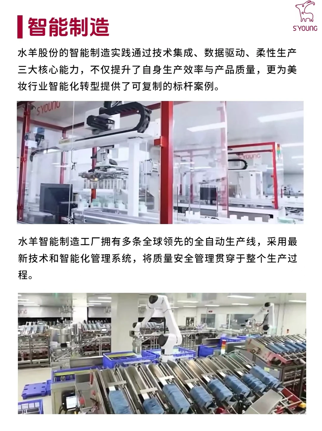 每天认识一家公司：水羊（S'YOUNG）
