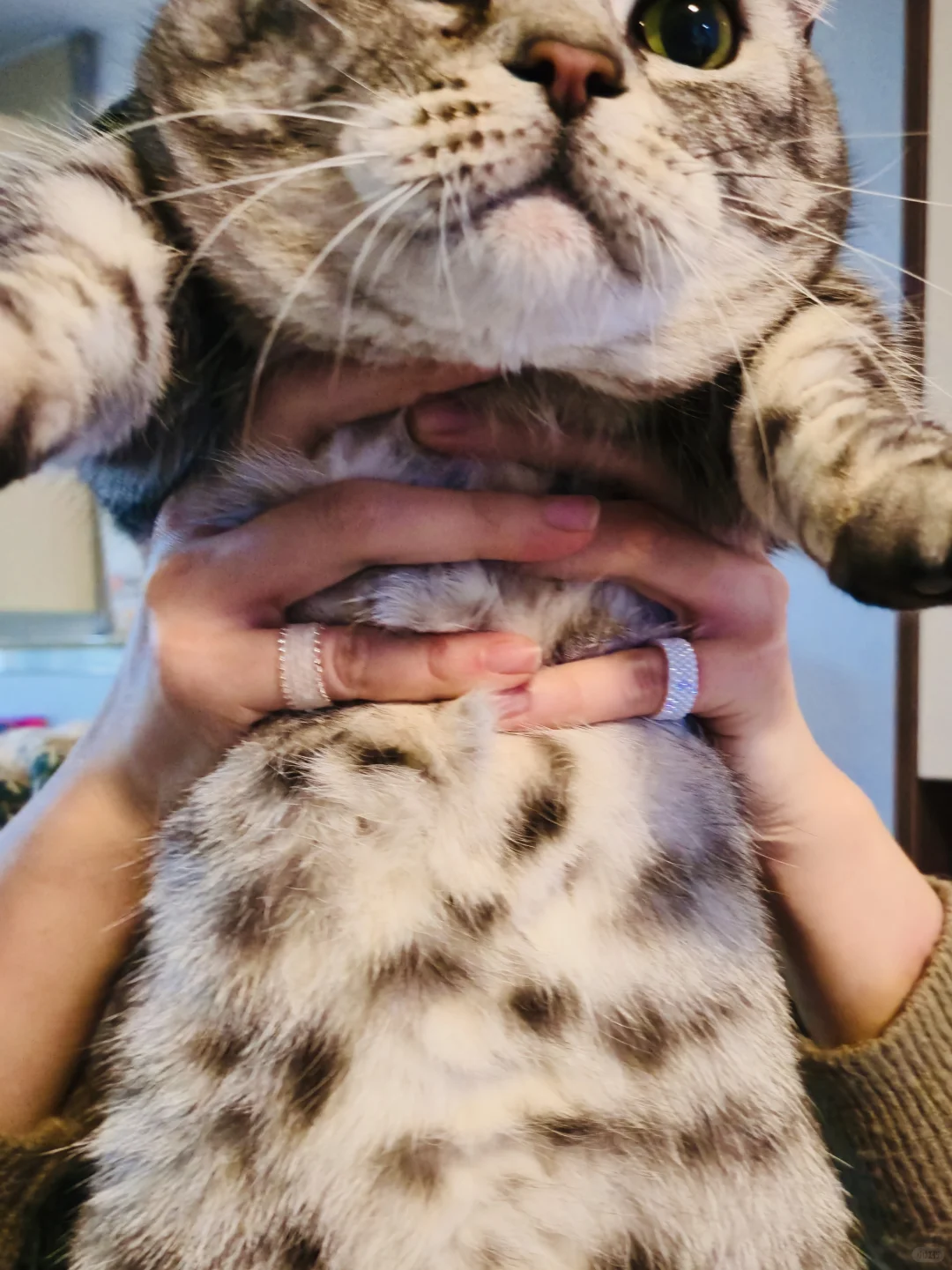 第180天，一张照片展示三样东西