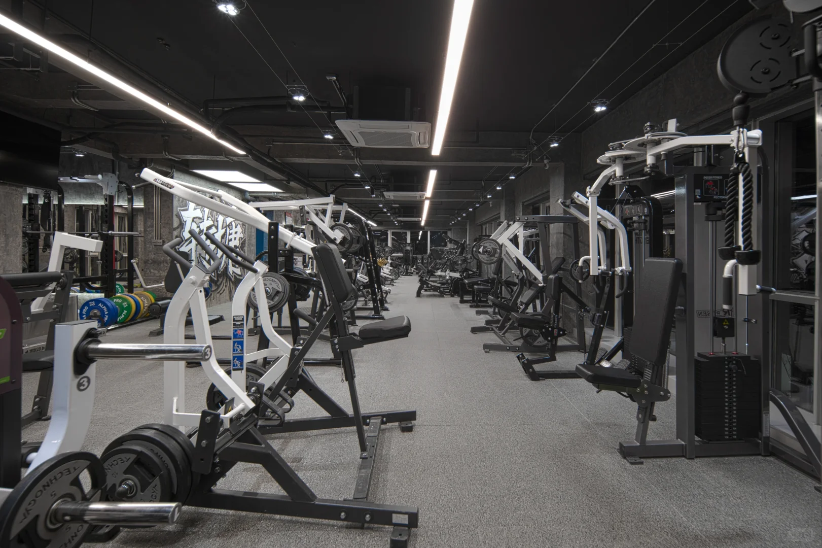 杭州健美运动员｜无偿给女生提供健身建议啦