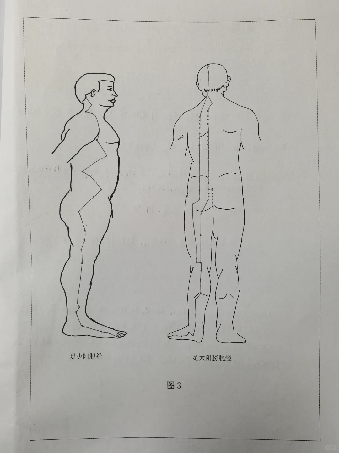 中医经络体质报告册
