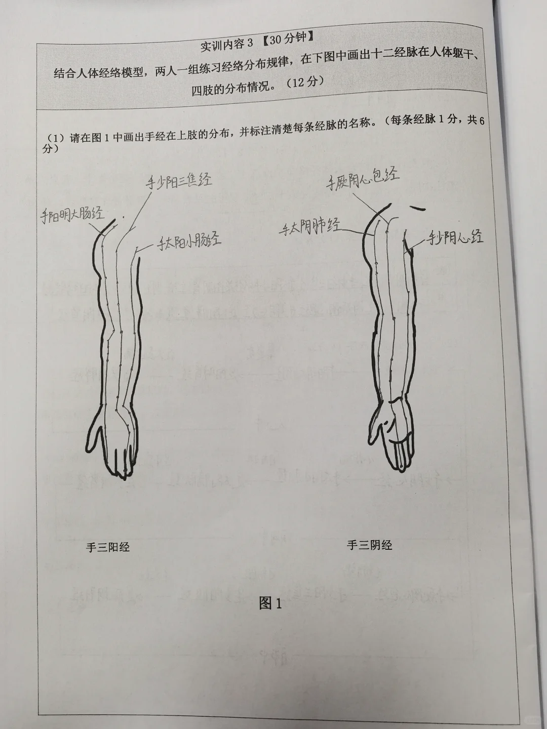 中医经络体质报告册
