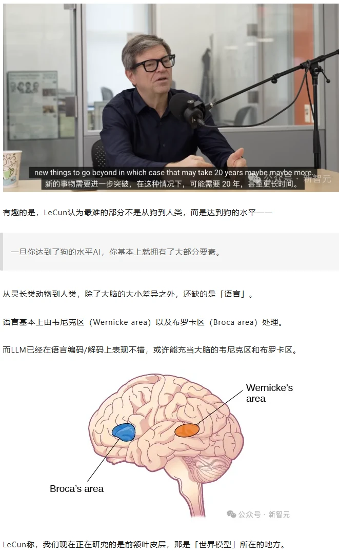 LeCun炮轰全硅谷:大模型全是泡沫