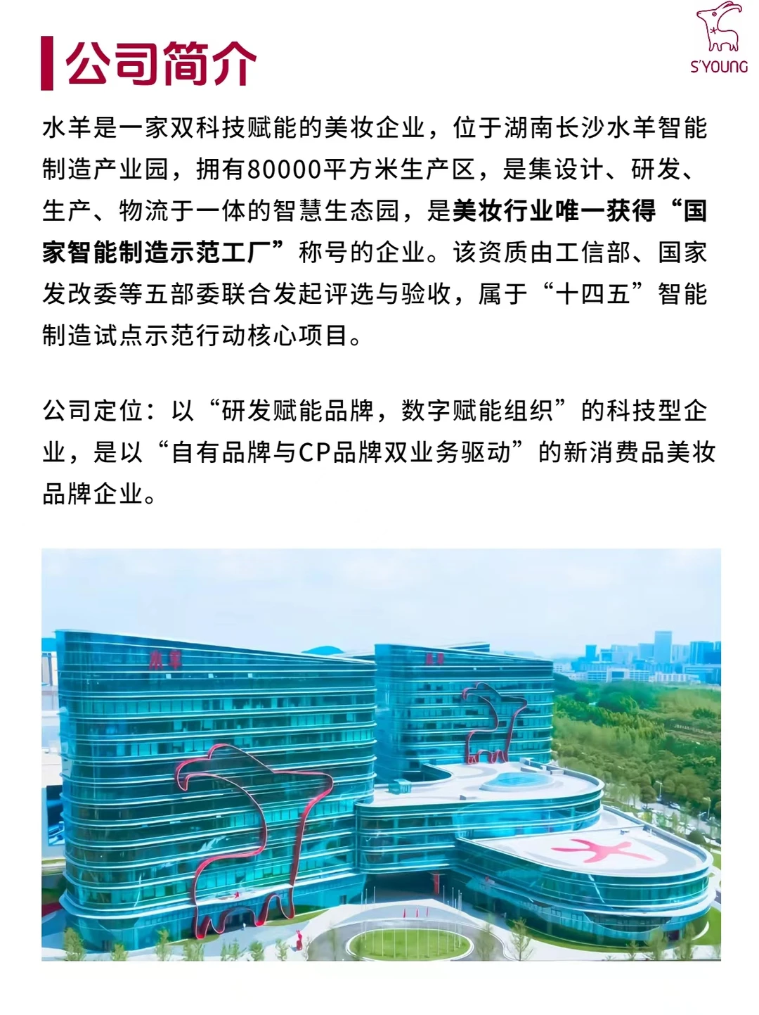 每天认识一家公司：水羊（S'YOUNG）