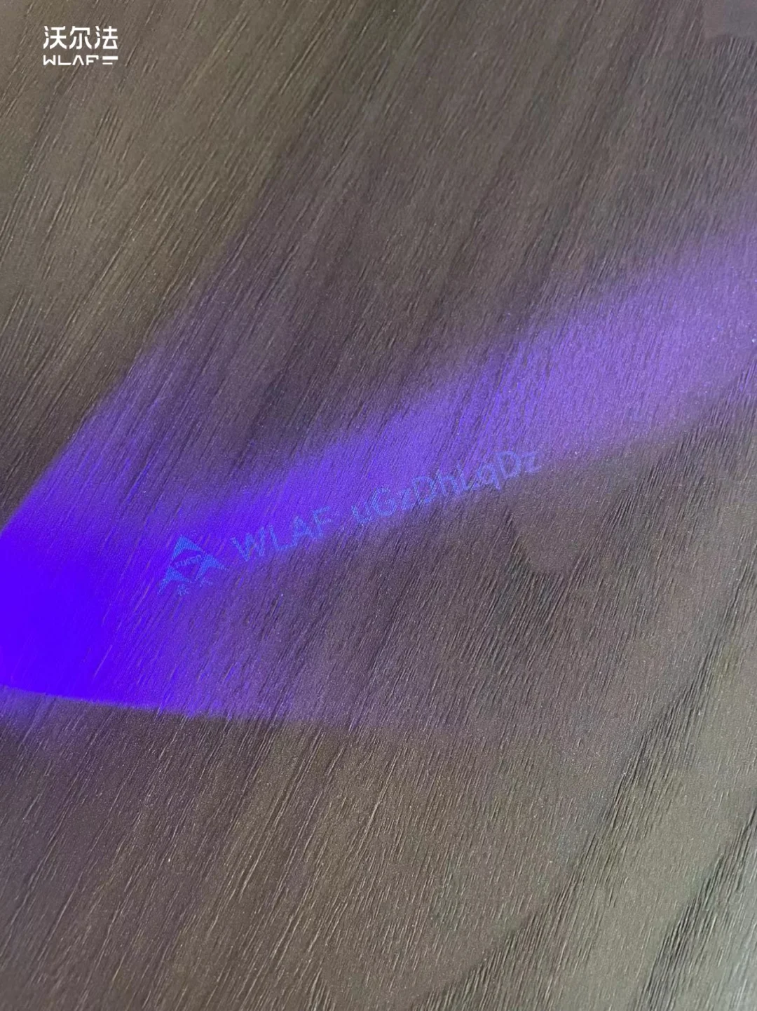 让家告别单调?用点彩艺术唤醒家的艺术脉搏