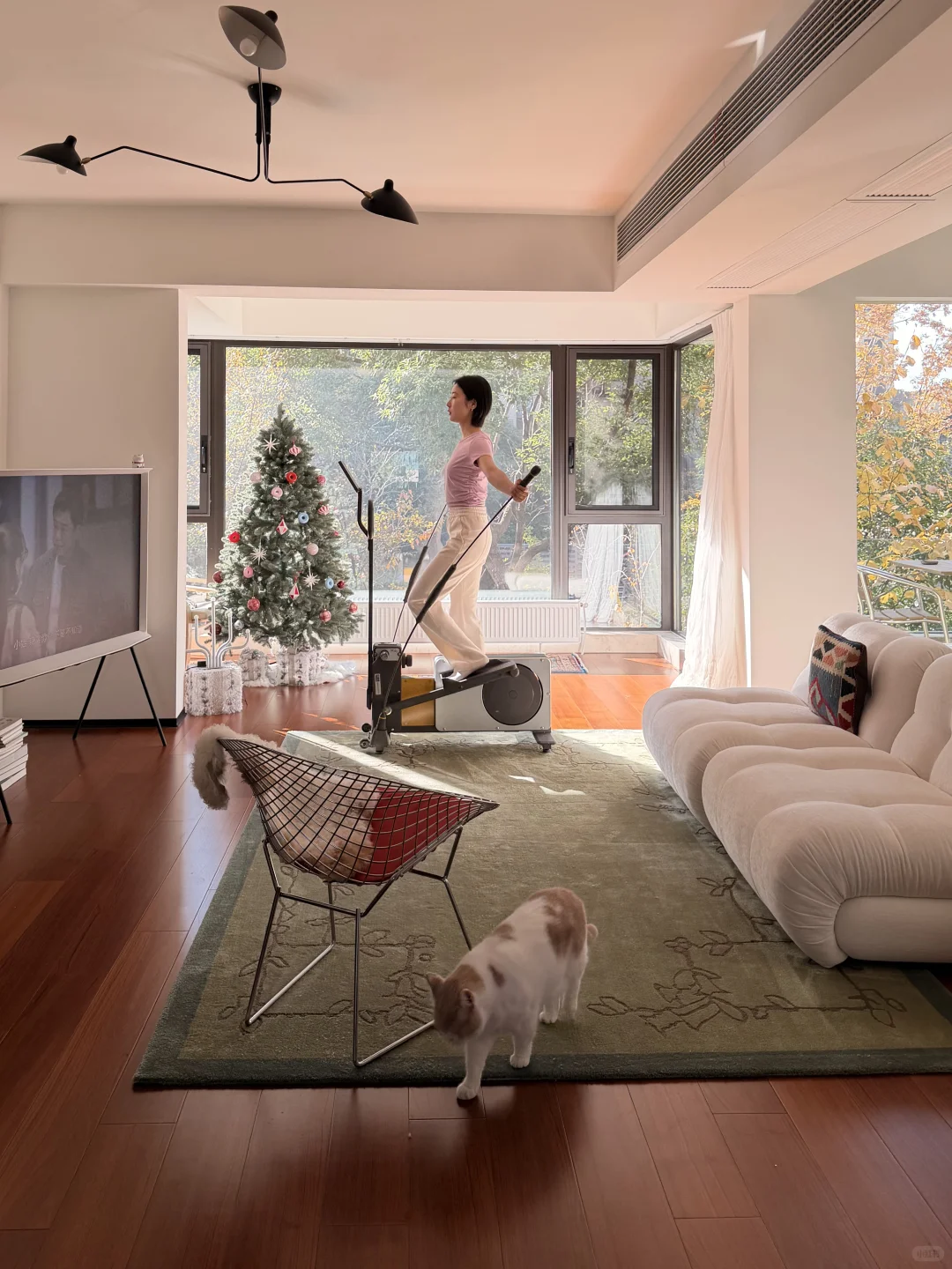 住进干净通透的家后,早晚运动都很积极