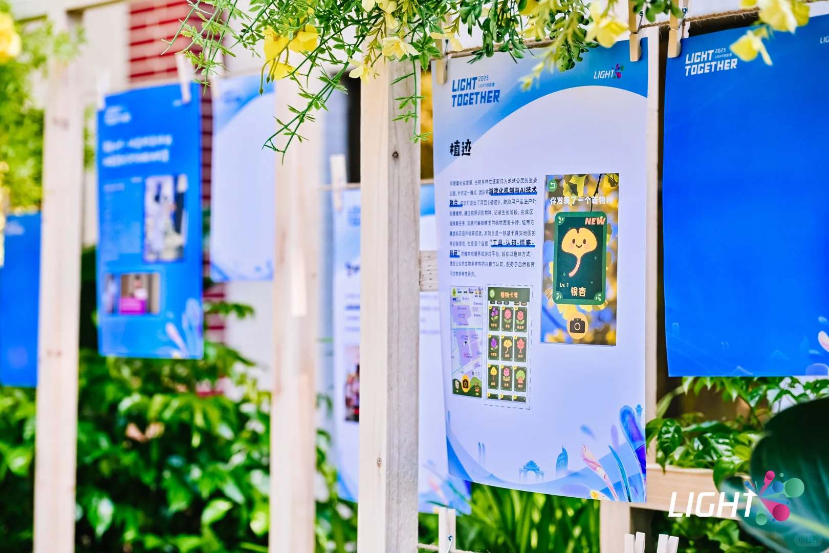 案例分享：2025 LIGHT创造营