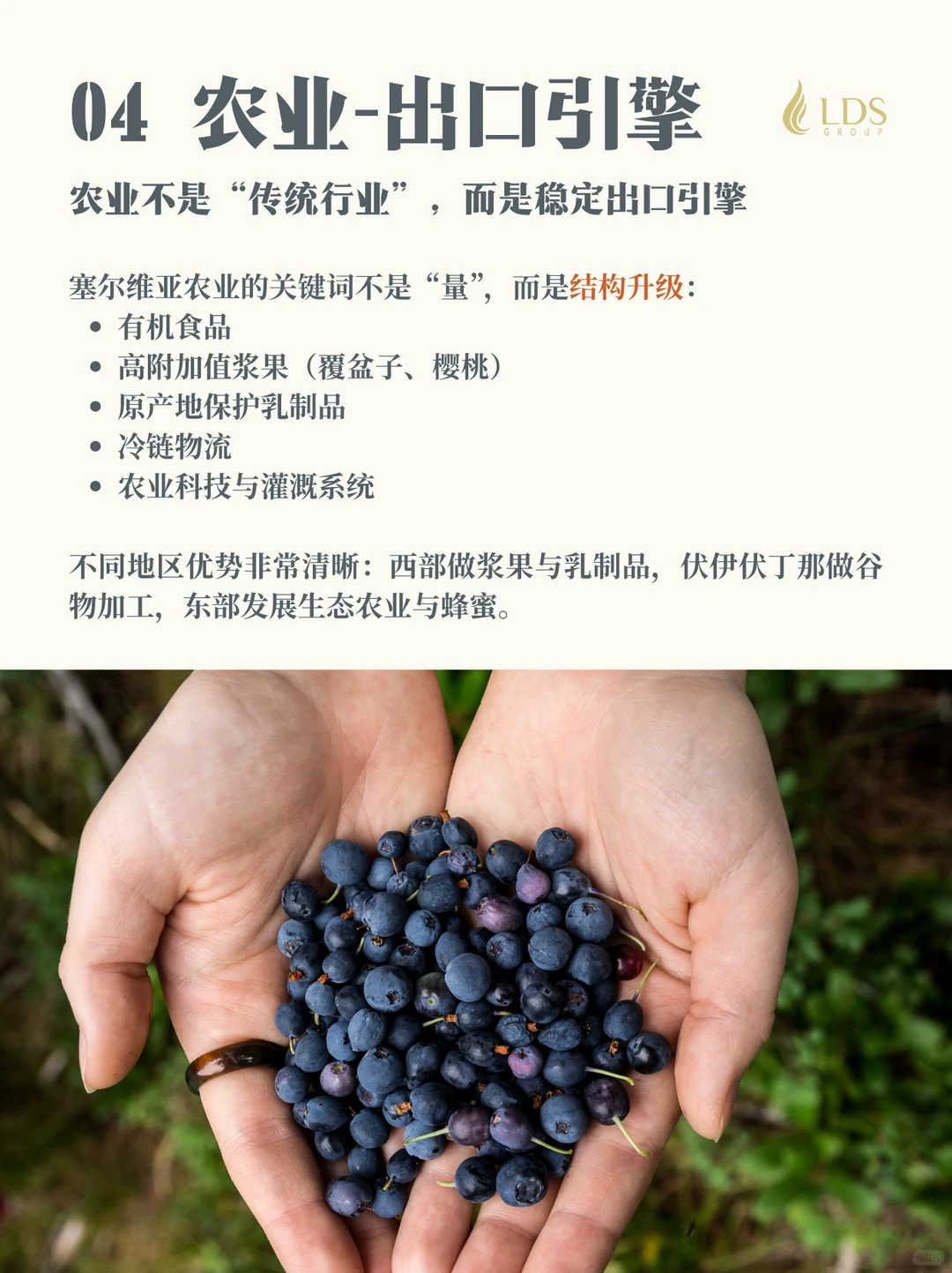 一篇看懂塞尔维亚未来投资与城市走向