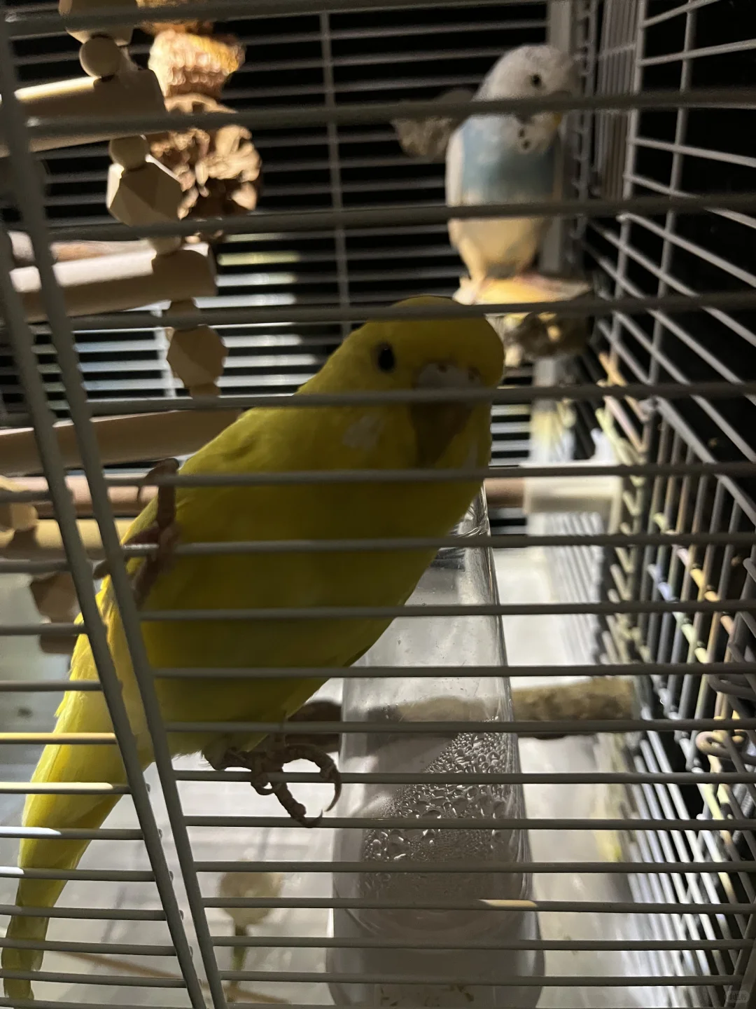 淘宝年度报告来啦