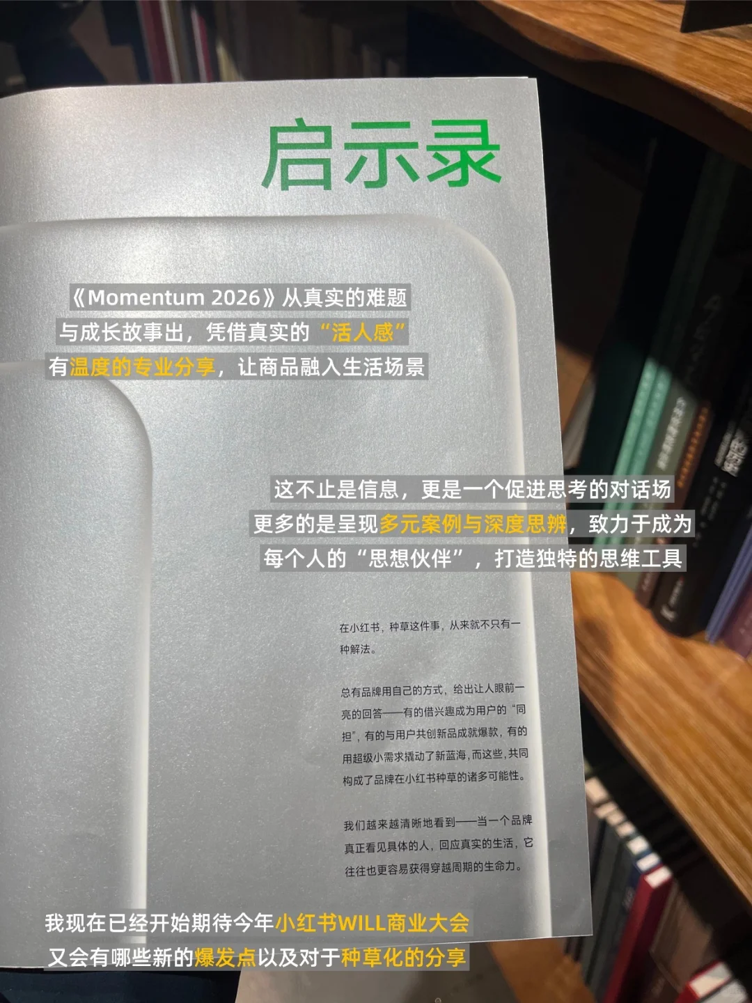 2026，小红书大动作来了