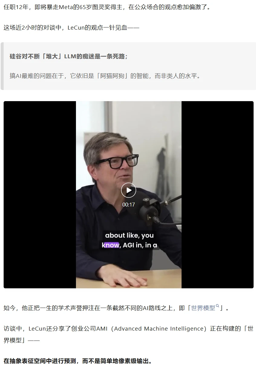 LeCun炮轰全硅谷:大模型全是泡沫