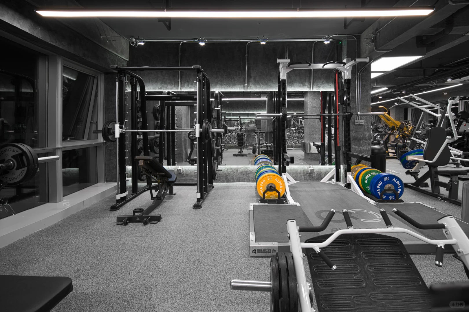 杭州健美运动员｜无偿给女生提供健身建议啦