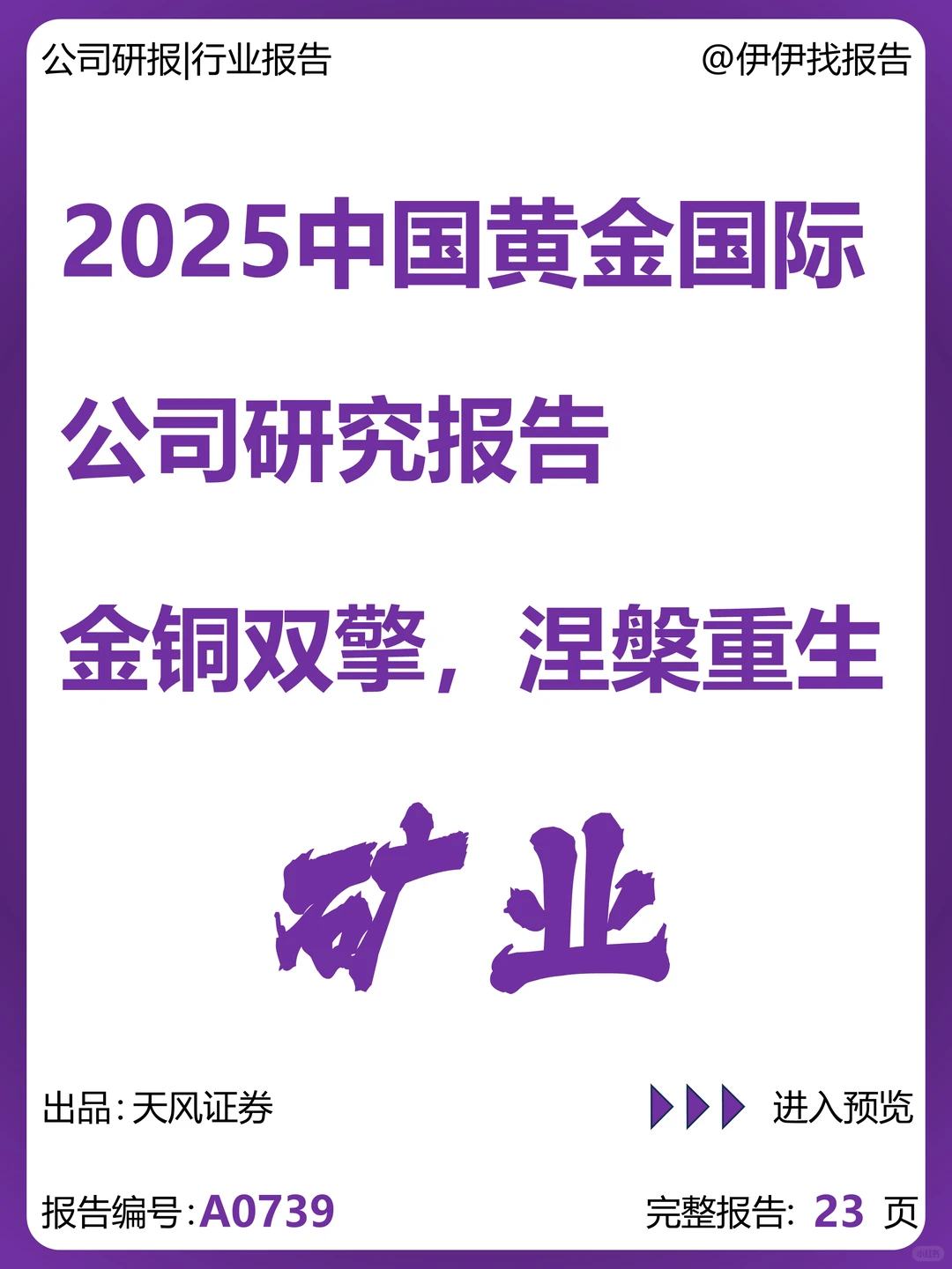 中国黄金国际公司研究报告
