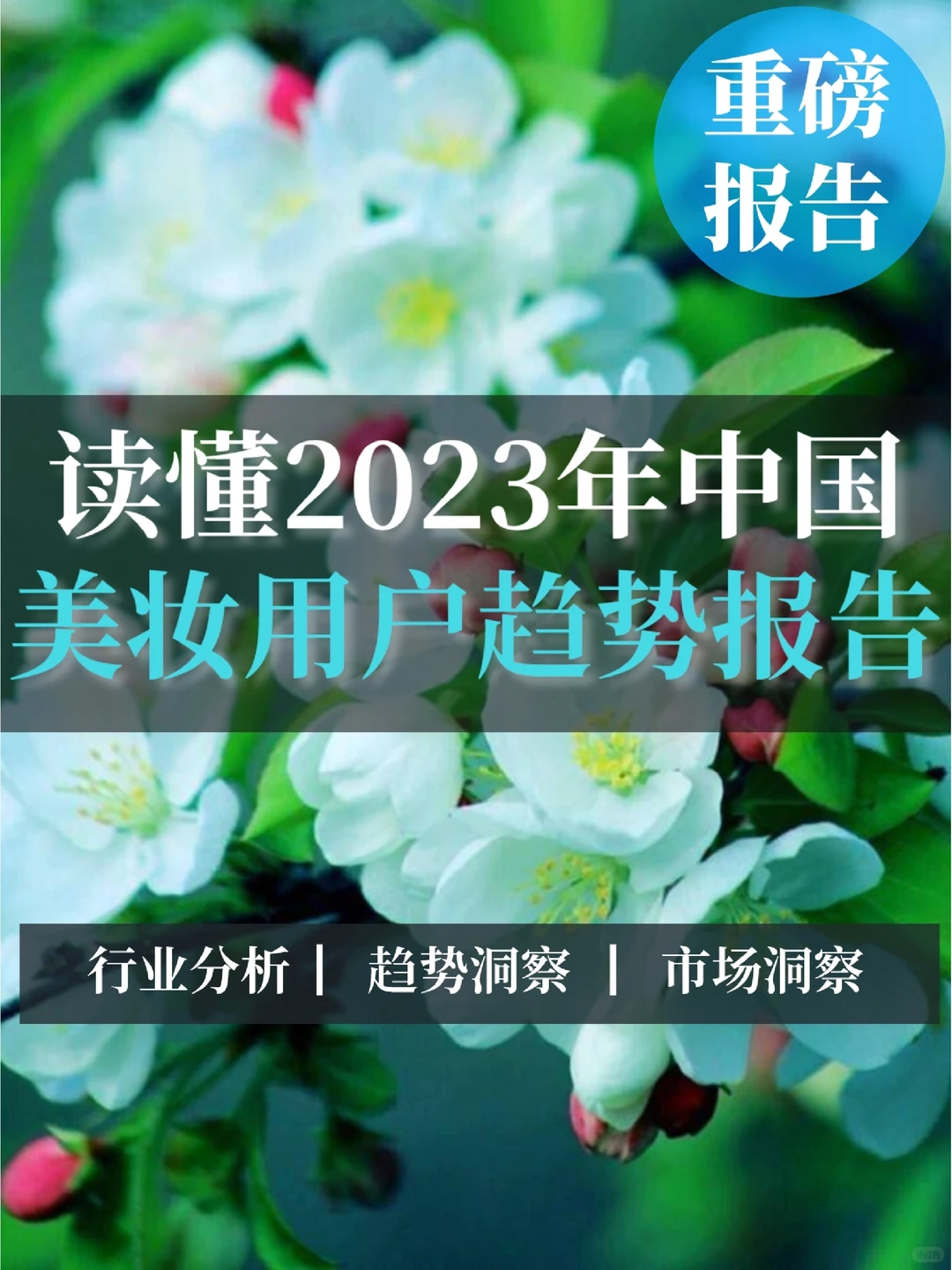 深度报告▏2023年美妆用户趋势洞察报告