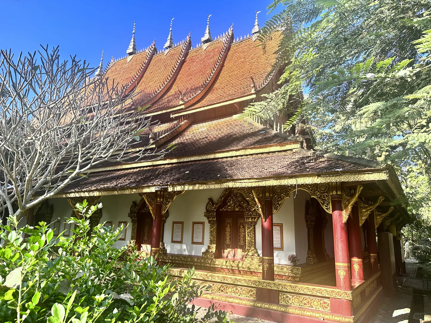 西双版纳最坑的景点是