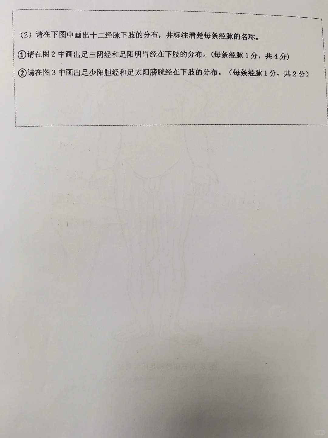 中医经络体质报告册
