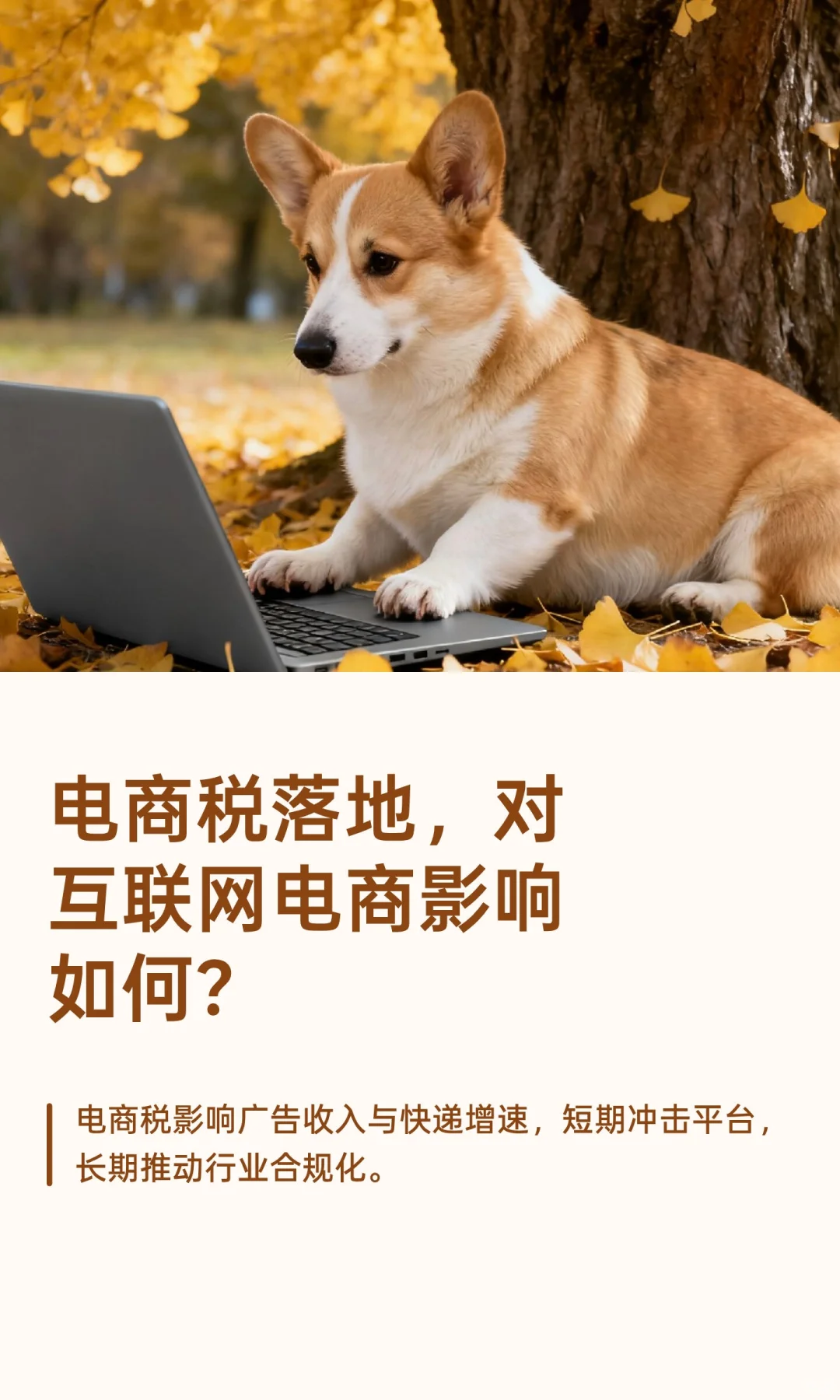 电商税落地，对互联网电商影响如何?