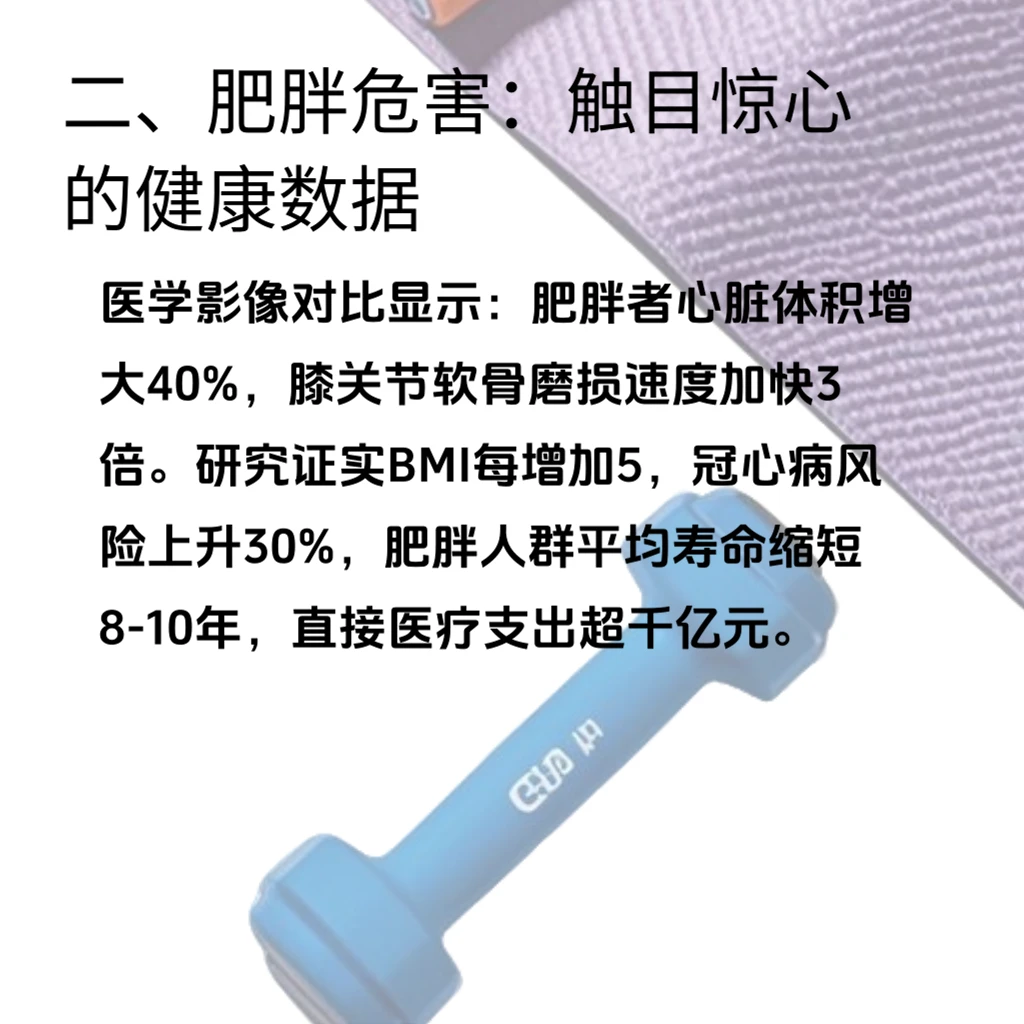体重管理三年计划如何重塑健身行业新格局