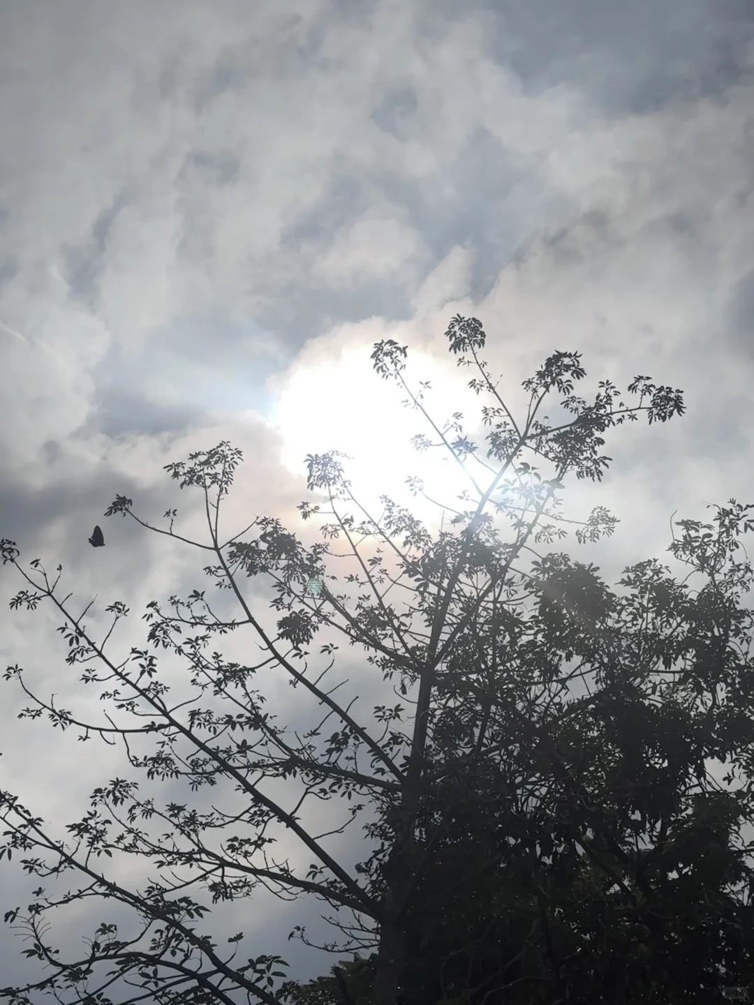 不要中计，恨人是苦海。