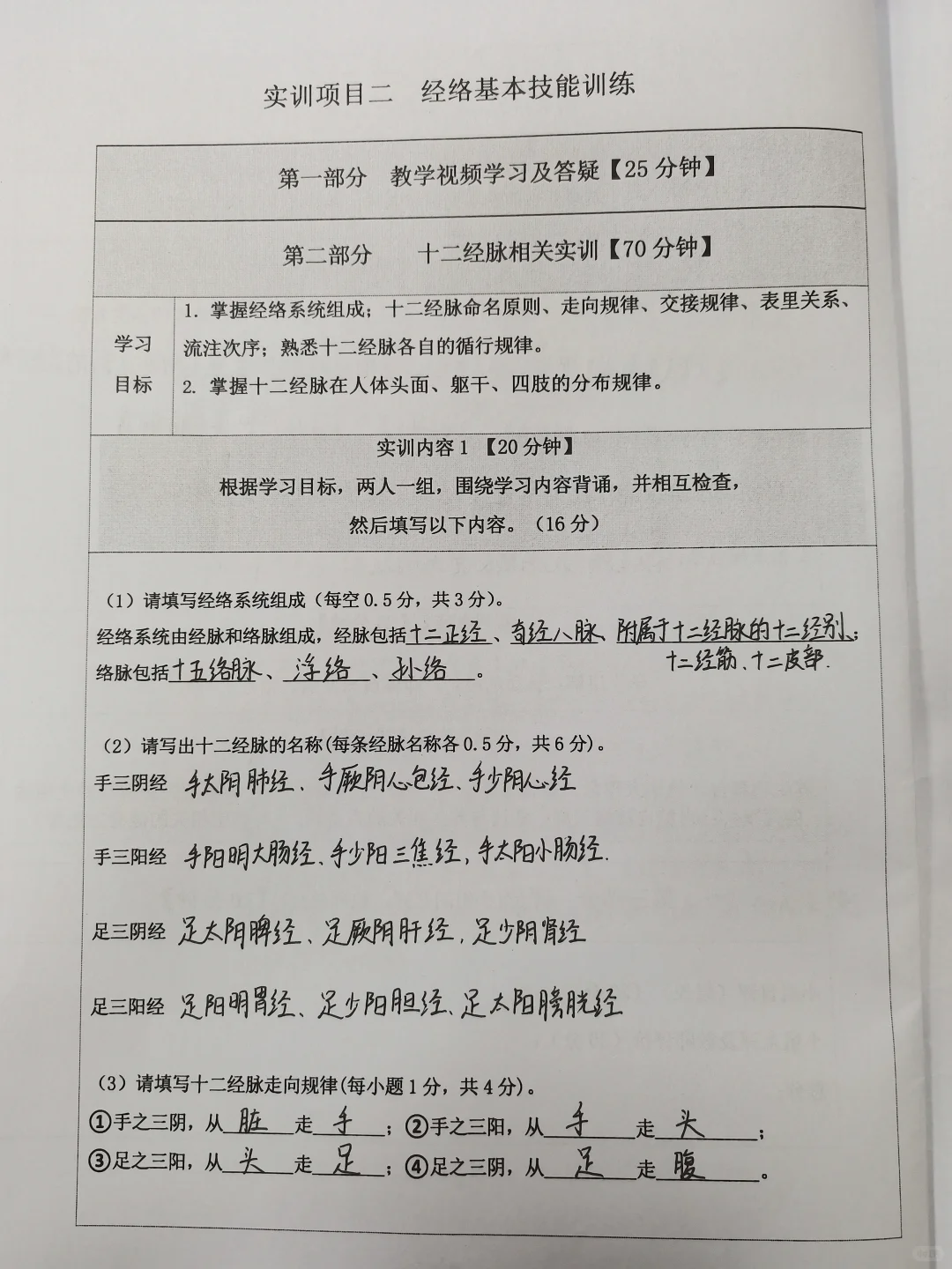 中医经络体质报告册