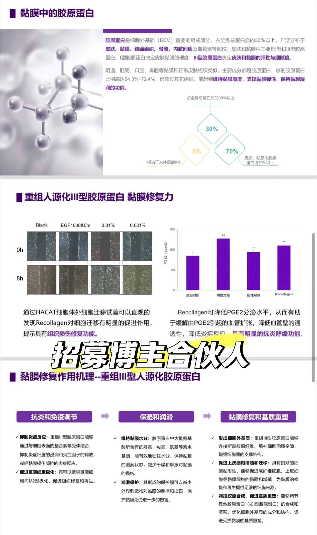 深度解析！招募合伙人