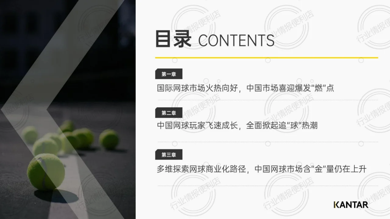 ?《2024网球市场热潮解码》??