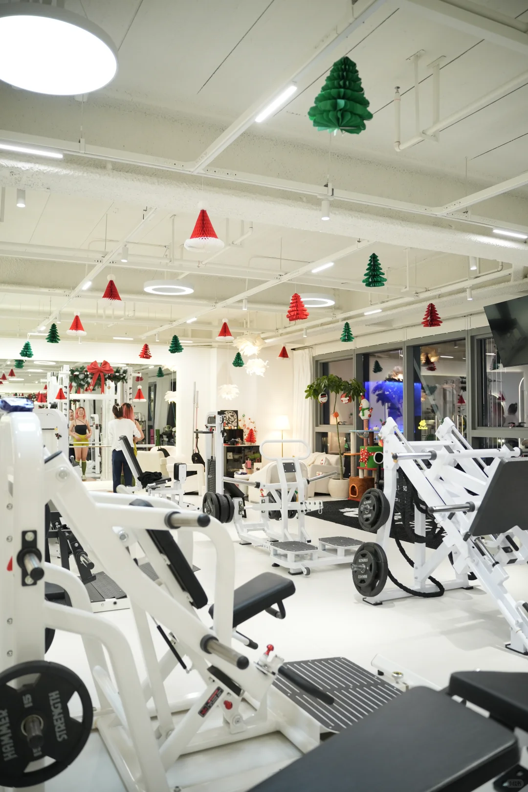 【宁波|只为女性设计的运动美学空间】