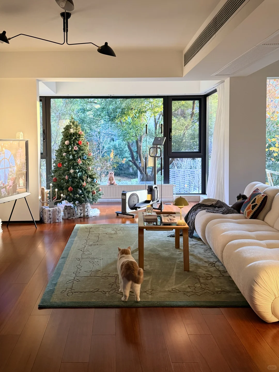 住进干净通透的家后,早晚运动都很积极