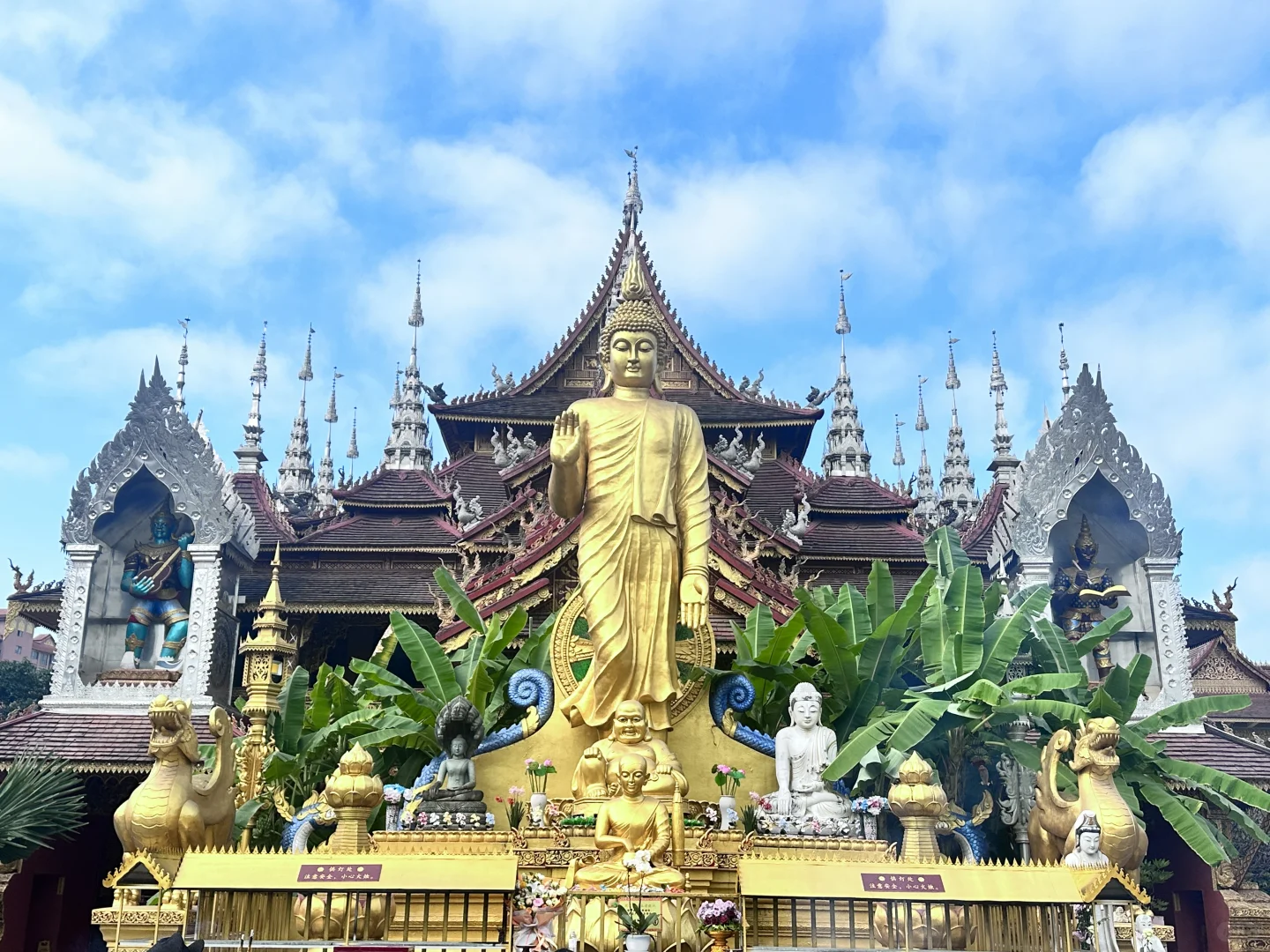 西双版纳最坑的景点是