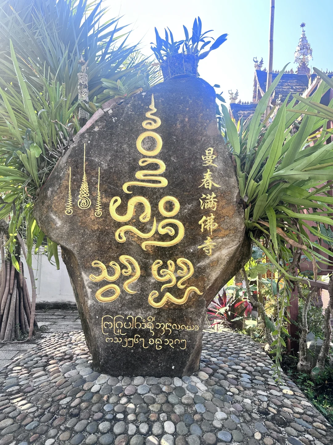 西双版纳最坑的景点是