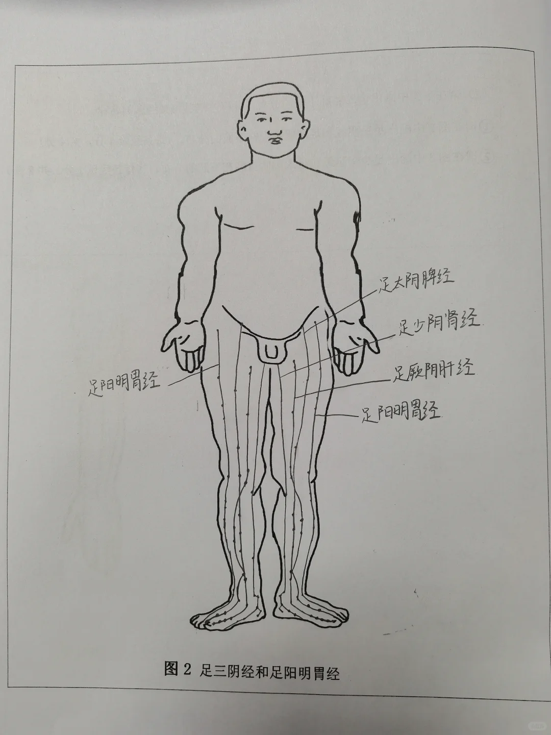 中医经络体质报告册