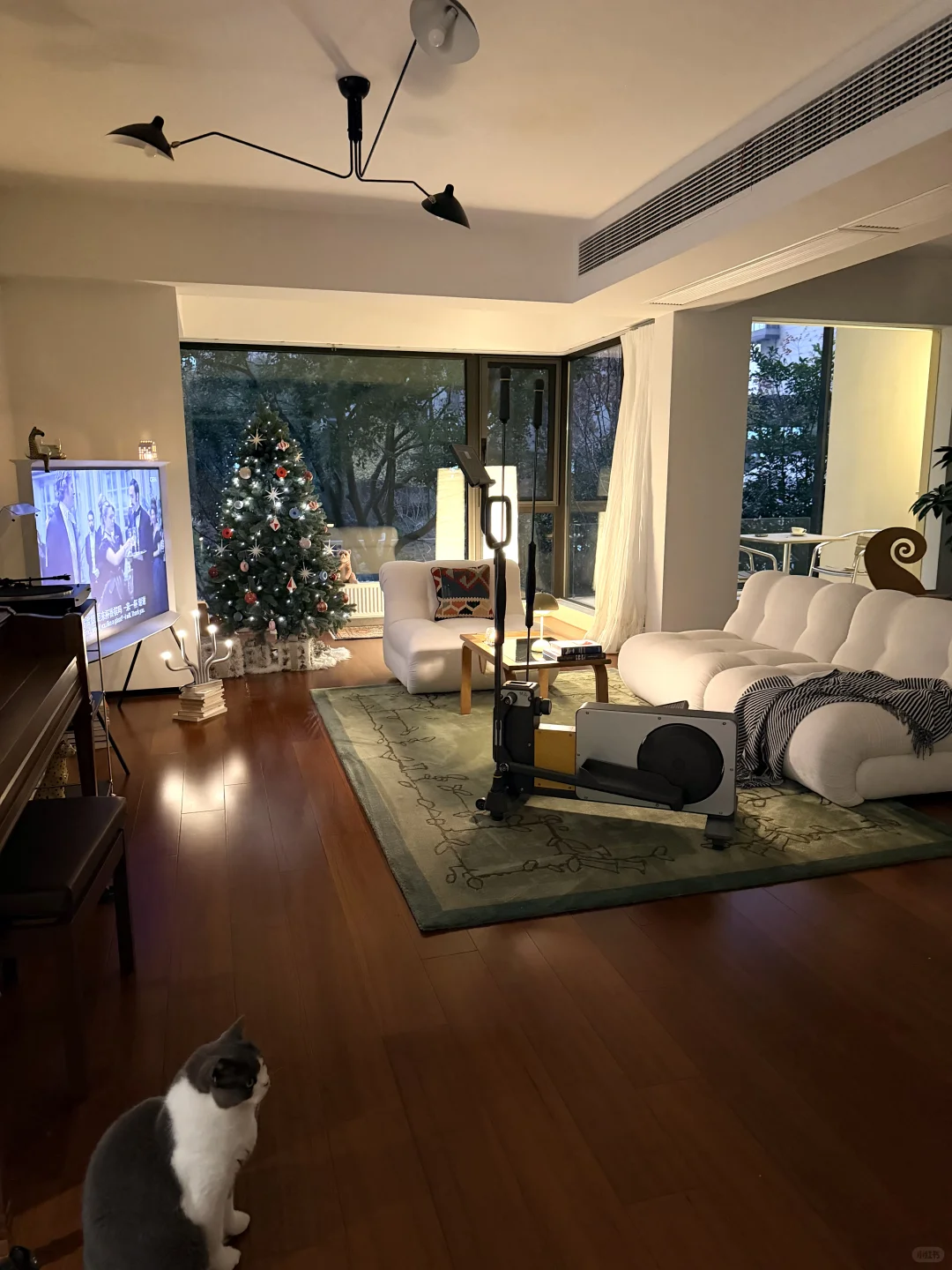 住进干净通透的家后,早晚运动都很积极