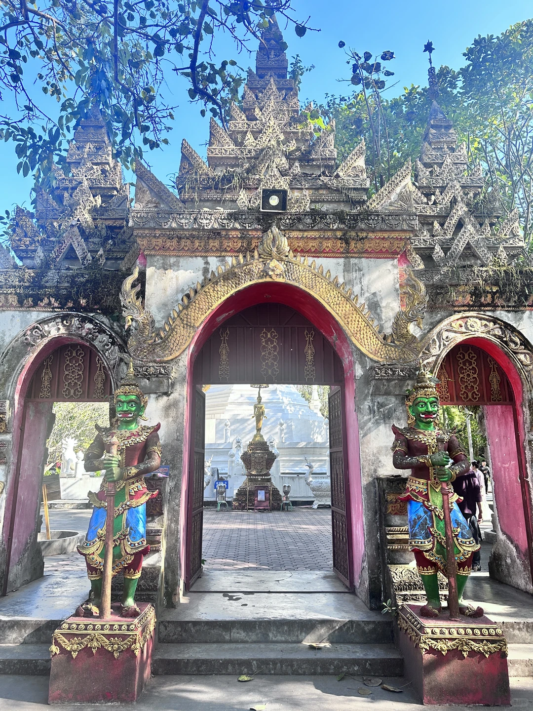 西双版纳最坑的景点是